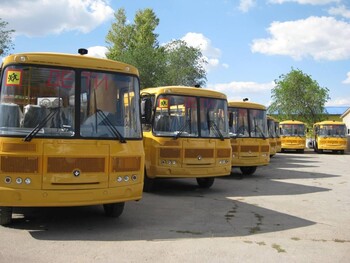avtobus4